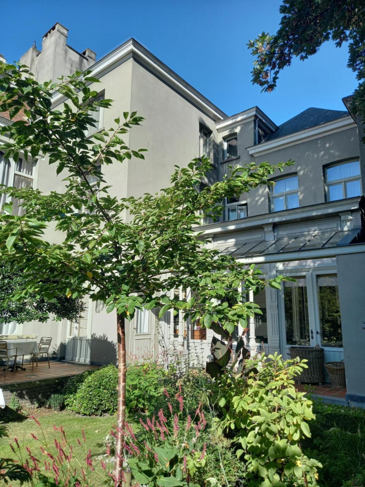 Huis Dujardin Bed&Breakfast Antwerpen Kültér fotó