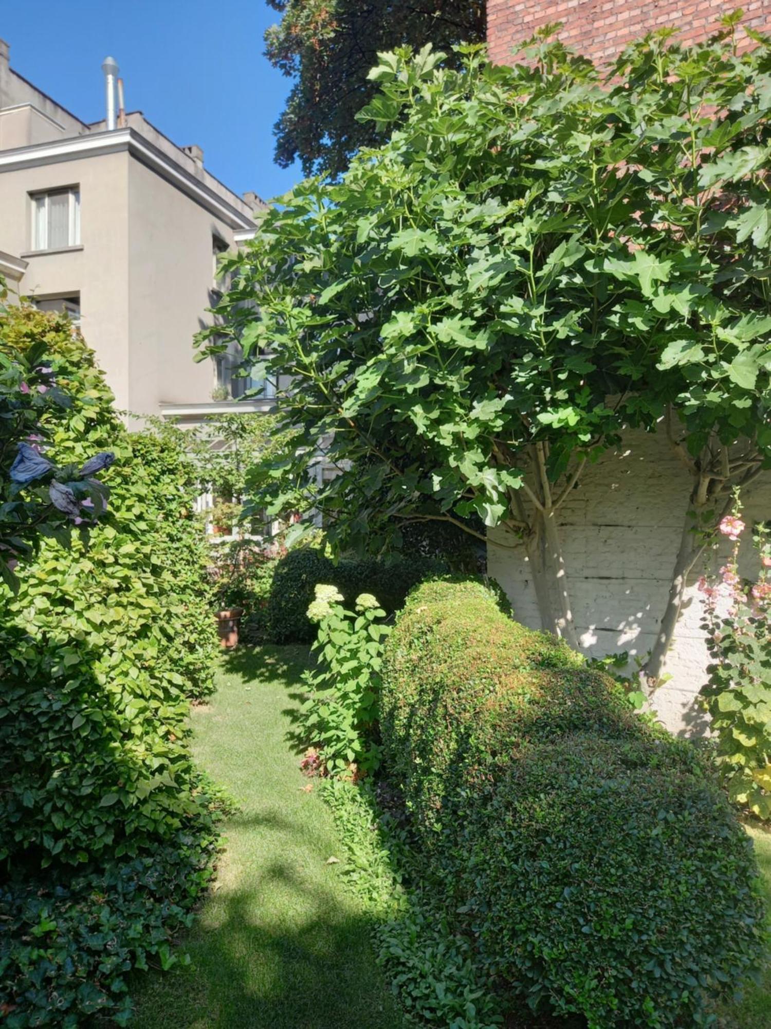 Huis Dujardin Bed&Breakfast Antwerpen Kültér fotó